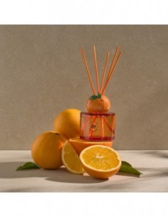 Diffuseur mikado Fruity Orange Twist 100 ml – La Casa de los Aromas