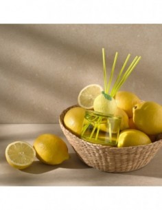 Diffuseur mikado Fruity Citrus Paradise 100 ml – La Casa de los Aromas