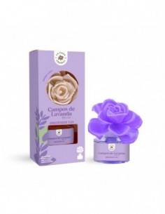 Fleur parfumée Champs de lavande 65 ml – La Casa de los Aromas