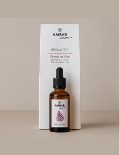 Ambar Zen Essence...
