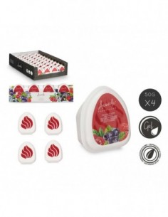Set 4 Parfums D'Ambiance...