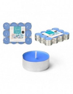 Set 24 Tea Light 4 H Océan...
