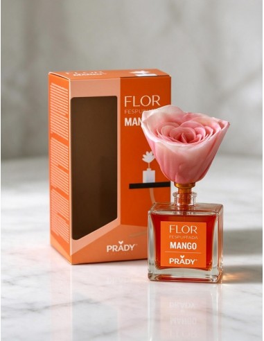 Mangue parfum de ambiance PRADY 90 ml...