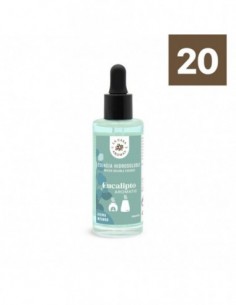 Huile parfumée Eucalyptus 48 ml – La Casa de los Aromas