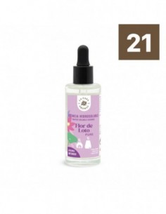 Huile parfumée Fleur de lotus 48 ml – La Casa de los Aromas