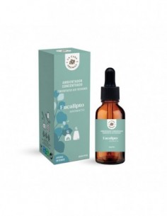 Huile parfumée hydrosoluble Eucalyptus 30 ml – La Casa de los Aromas