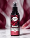 Fruits rouges